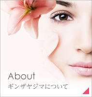 About 会社概要